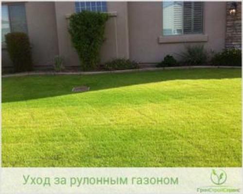 Уход летом за натуральными пористыми: советы и рекомендации 02 Уход летом за натуральными пористыми: советы и рекомендации 02