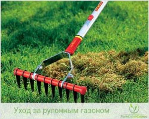 Уход летом за натуральными пористыми: советы и рекомендации 03 Уход летом за натуральными пористыми: советы и рекомендации 03