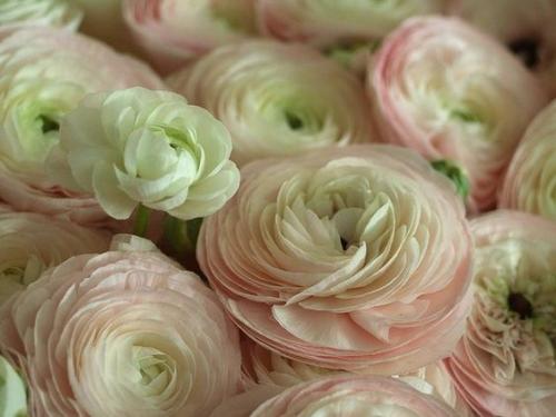 Как стать чувственной женщиной. Как жить со вкусом: 5 уроков чувственной женщины