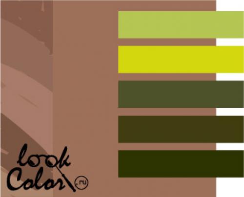 Цвет мокко одежда кому идет: подбор стиля и цвета 06 Цвет мокко одежда кому идет: подбор стиля и цвета 06