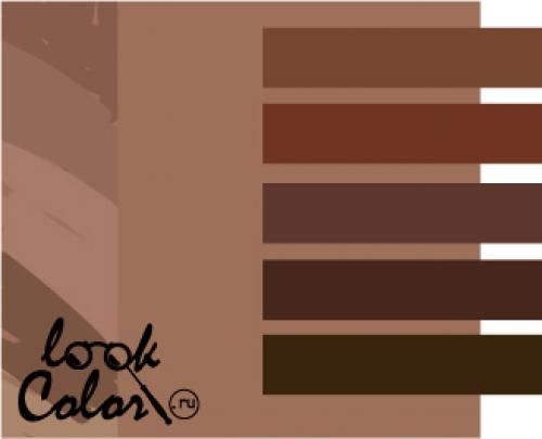 Цвет мокко одежда кому идет: подбор стиля и цвета 10 Цвет мокко одежда кому идет: подбор стиля и цвета 10