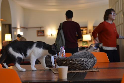 Про женское одиночество в сорок лет. Женское одиночество в 40 лет. Ужасные последствия