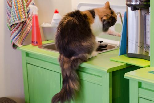 Про женское одиночество в сорок лет. Женское одиночество в 40 лет. Ужасные последствия