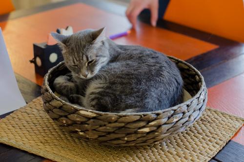 Про женское одиночество в сорок лет. Женское одиночество в 40 лет. Ужасные последствия