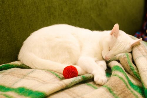 Про женское одиночество в сорок лет. Женское одиночество в 40 лет. Ужасные последствия