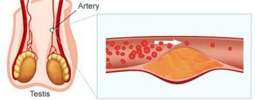 Почему выпадают волосы у мужчин в молодом возрасте: основные причины и решения 05