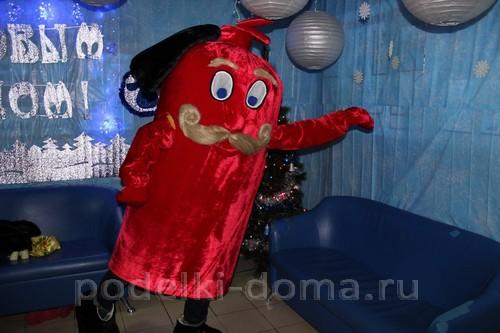 Костюмы на новый год своими руками. Новогодние костюмы своими руками 04