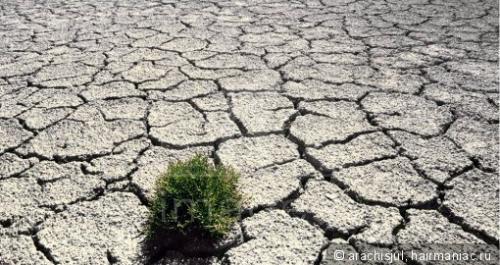 Почему волосы электризуются от расчески. Электризация волос: Причины электризации. Что делать, чтобы волосы не электризовались и не магнитились?