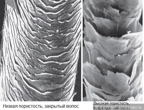 Почему волосы электризуются от расчески. Электризация волос: Причины электризации. Что делать, чтобы волосы не электризовались и не магнитились?