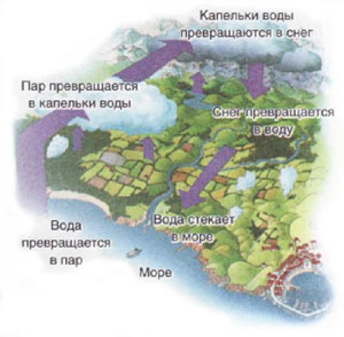 Из чего сделана наша одежда. Поэтому модную индустрию отчасти можно считать пластиковой - синтетические ткани получают из нефти, а это тот же пластик. 03