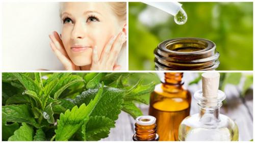 Настойка мяты для лица. Польза применения мяты для кожи лица