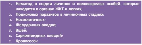 Ивермек-спрей для кур. Ивермек: инструкция по применению для разных видов животных и птиц