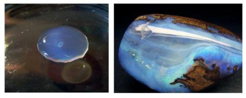 Ивермек-спрей от ушного клеща. Форма выпуска