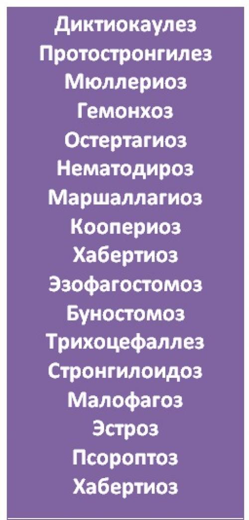 Ивермек-спрей для кур. Ивермек: инструкция по применению для разных видов животных и птиц