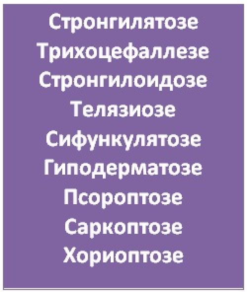 Ивермек-спрей для кур. Ивермек: инструкция по применению для разных видов животных и птиц