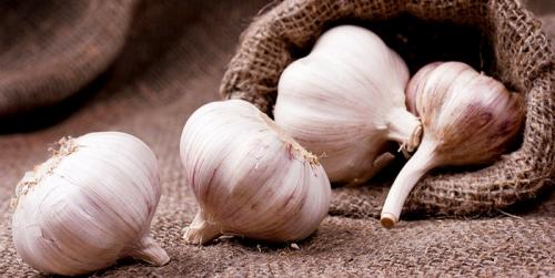 Как определить, что чеснок высокого качества. Как правильно выбрать чеснок?