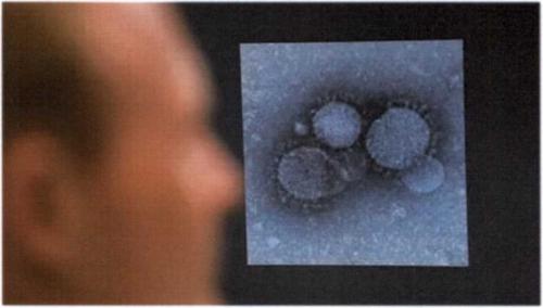 Три новых смертельных случая коронавируса в Белгороде за один день 05