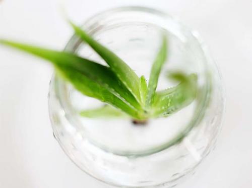 Секреты красоты Клеопатры. Рекомендуем