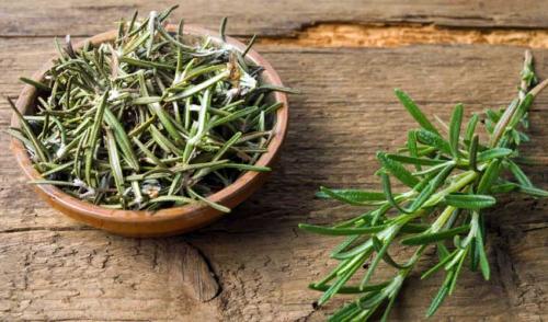 Как правильно хранить лук и розмарин. Как правильно хранить свежий розмарин