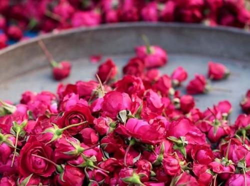 Какие были самые опасные ритуалы красоты, которые использовала Клеопатра. Рекомендуем