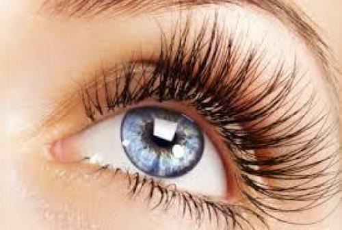 Какие были основные продукты, используемые для ухода за носом