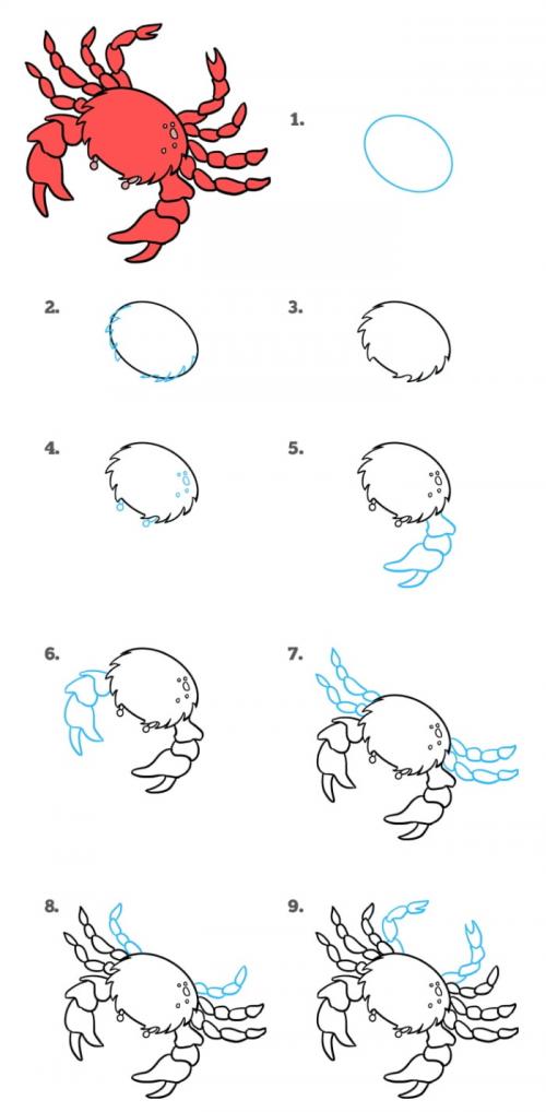 Как нанести краску на Хвост для рисования крабика. Пошаговая инструкция по рисованию краба простым карандашом