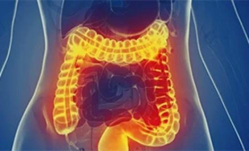 Стресс, как причина заболеваний ЖКТ: последствия и эффективные способы профилактики 06 Стресс, как причина заболеваний ЖКТ: последствия и эффективные способы профилактики 06