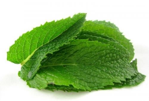 Сравнительное исследование мяты лесной. Определение флавоноидов и эфирного масла в растительно-лекарственном сырье на примере мяты 09 Сравнительное исследование мяты лесной. Определение флавоноидов и эфирного масла в растительно-лекарственном сырье на примере мяты 09