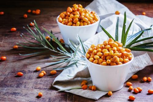 Мелисса и мята отличия и полезные свойства 01 Мелисса и мята отличия и полезные свойства 01