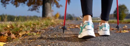 Скандинавская ходьба для пожилых. Условие успеха в соблюдении правил 05 Скандинавская ходьба для пожилых. Условие успеха в соблюдении правил 05