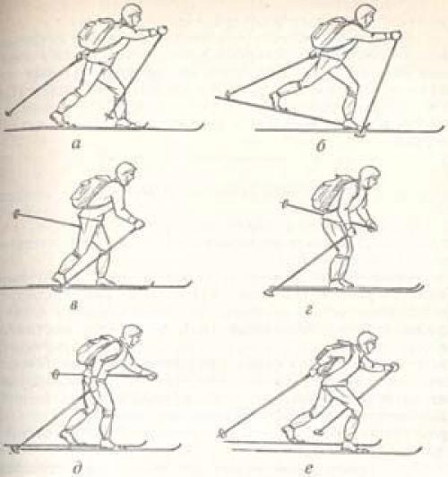 Как ходьба на лыжах влияет на организм пожилых людей 08 Как ходьба на лыжах влияет на организм пожилых людей 08