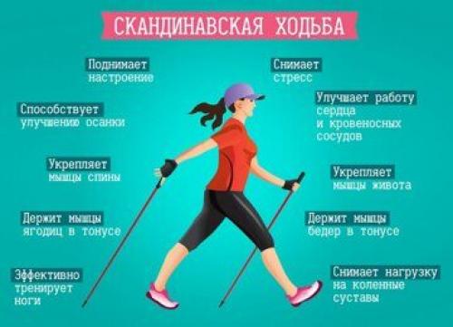 Скандинавская ходьба для пожилых людей. Скандинавская ходьба 07 Скандинавская ходьба для пожилых людей. Скандинавская ходьба 07