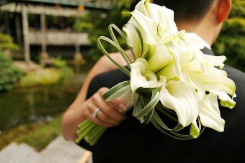 Цветок калла значение по фен шуй. Мистика калл: как цветы привлекают счастье и любовь (поверья и легенды) 04