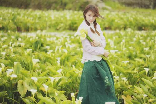 Цветок калла значение по фен шуй. Мистика калл: как цветы привлекают счастье и любовь (поверья и легенды) 05