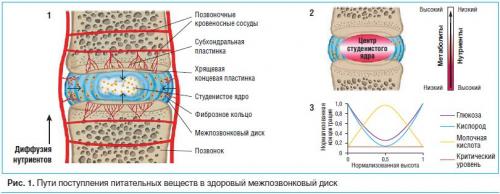 Препараты для улучшения кровообращения в суставах. Эффективны ли хондропротекторы