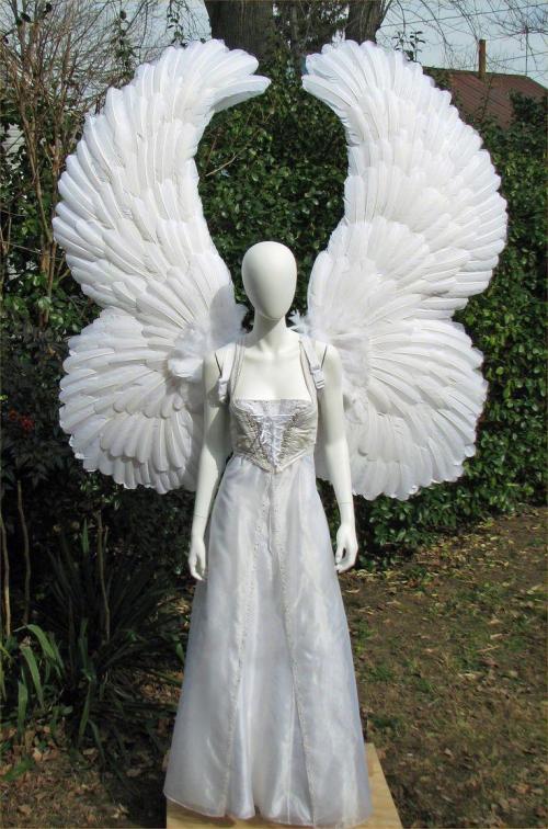 Как сделать крылья феи Винкс своими руками. Варианты нарядов 13