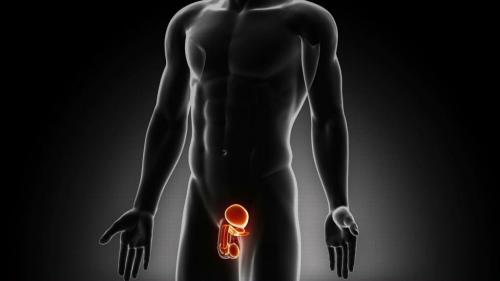 Признаки импотенции в 50 лет. Причины и особенности развития