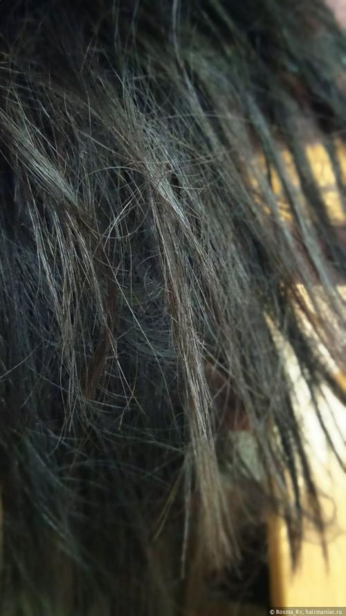 Какие аксессуары для головы помогут защититься от холода и добавить шика. Головные уборы и почему их выбор может быть критически важен для волос