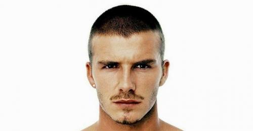 Стрижка по. Особенности стрижки под 3 мм