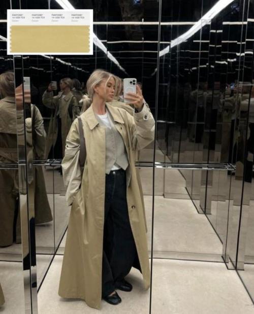 Pantone назвал главный цвет 2025 года: что это за оттенок 03 Pantone назвал главный цвет 2025 года: что это за оттенок 03