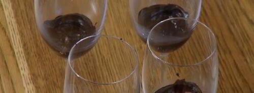 За горизонтом мокка-мусса: откройте для себя новые десертные горизонты 02 За горизонтом мокка-мусса: откройте для себя новые десертные горизонты 02