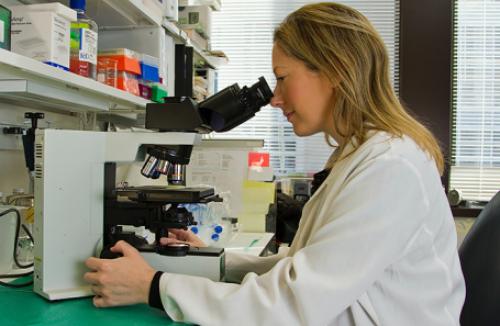 Каковы глобальные тенденции в увеличении числа тяжелых больных. Все новости »