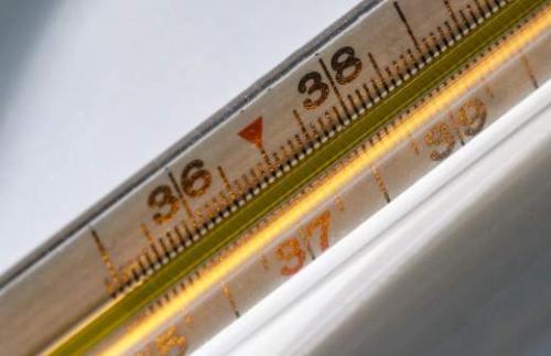 Как поддержать иммунитет и оставаться здоровым осенью: советы экспертов 03 Как поддержать иммунитет и оставаться здоровым осенью: советы экспертов 03