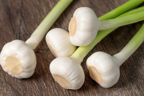 Интересная информация о чесноке. 7 интересных фактов о чесноке