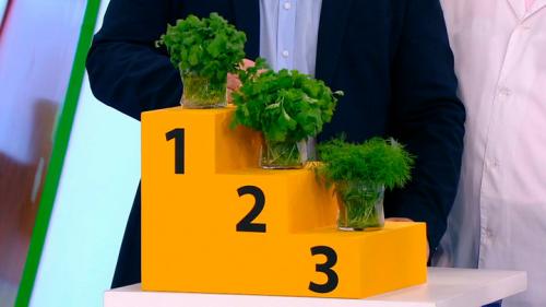 Как выбрать самую полезную листовую зелень для своего рациона. Какая зелень самая полезная? Отвечает врач