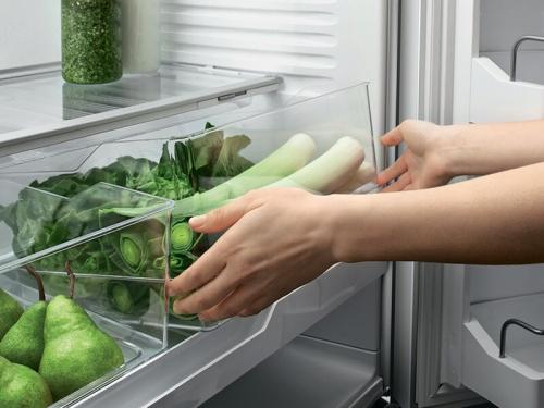 Зелень для вашего стола: полезные советы и рецепты 12 Зелень для вашего стола: полезные советы и рецепты 12