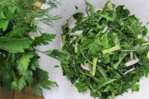 Какие рецепты с зелёными листовыми овощами самые вкусные и полезные. 20 зеленых салатов, которые разнообразят твой рацион