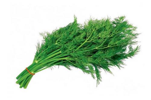 Как зелёные листовые овощи могут помочь при снижении веса. Обзор