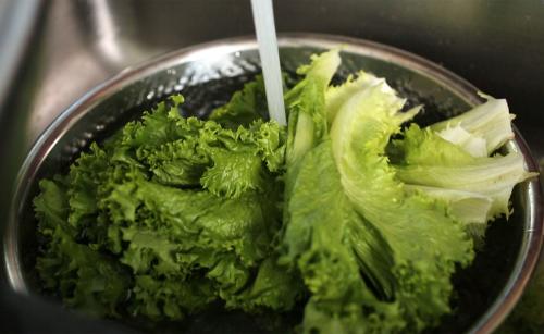 3 лучших вида листовой зелени для ежедневного употребления 08