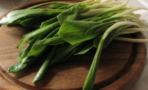 Какие виды зелени считаются самыми полезными для человека. Топ 14 полезной зелени